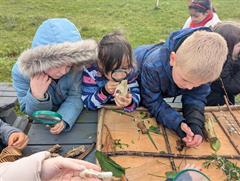 Biodiversity and habitat audit with Heritage in Schools