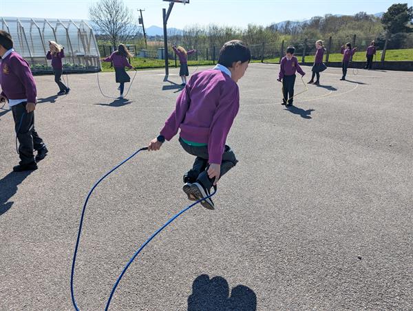 Skip Around Europe 2025